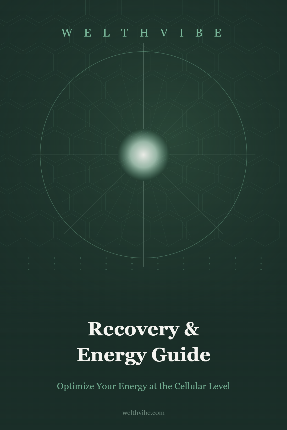Recovery & Energy Guide
